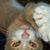Chandra Congdon's profile image