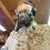 Brion Wallis's profile image