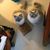 Paulette Donahue's profile image