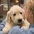 Jane Meier's profile image