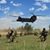 Armando R Brana's profile image
