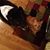 PJay Pam Peck's profile image