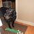Len Japchinski's profile image