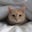 Valerie Houseman's profile image