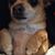 Nelly O'Hea's profile image