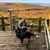 Brittany Newby's profile image