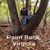 Jenny Bowers Walker's profile image