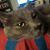 Debra G. Wall-Braim's profile image