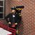 Fernando Brito's profile image