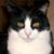 Barry Herbach's profile image