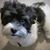 Rick Heartsill's profile image