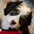 Patti Rambo's profile image