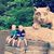 Lisa Gaugler Gehman's profile image