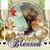 Marco Rosa's profile image