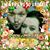 Nancy Saxour's profile image