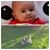 Anna Lamonaca Wenkus's profile image