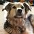 Zoe Zana Gerhart's profile image