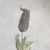 Allison Chiles's profile image