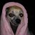 Diann Murray's profile image