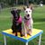 Deborah Booher's profile image