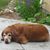 Anita Cooney's profile image