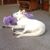 Janice Rittenhouse's profile image