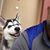 Perico Mmc's profile image