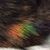 Rachelle Walsh's profile image