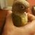 James Wiard's profile image