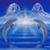 Ortiz Cruz Karim's profile image