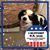 Wendy Glatfelter Peterson's profile image