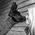 Heather Fitzgibbon's profile image