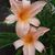 Teresa Baker Foster's profile image