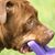 Jay Ellen LeBeau's profile image