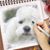 Sue Mundt Steele's profile image