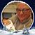Gary Gallo's profile image