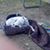 Andrea Heitman's profile image