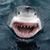Wyatt Davis's profile image