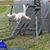 Deb Fahey's profile image