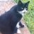Pam Spangler's profile image
