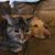 Dawn Gregg Cole's profile image