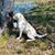 Alison Causey Ward's profile image