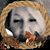 Charlotte Quibodeaux's profile image
