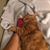 Tracy B Haver's profile image