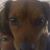 Lora McCarthy's profile image