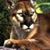 Wanda Reed's profile image