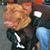 Scott Harris's profile image