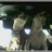 Smokey&Cheryl's profile image