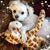 JoeAnn Ricca's profile image