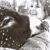 Elizabeth Stoner-Thompson's profile image